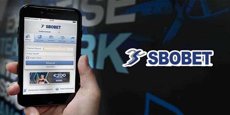 Đăng nhập vào trong website trực tuyến của sbobet Kubet 